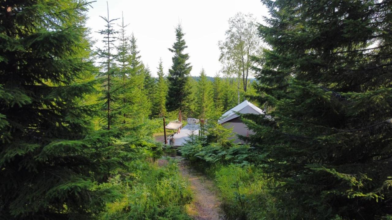 Glamping Tent With Amazing View In The Forest Torsby Exteriér fotografie