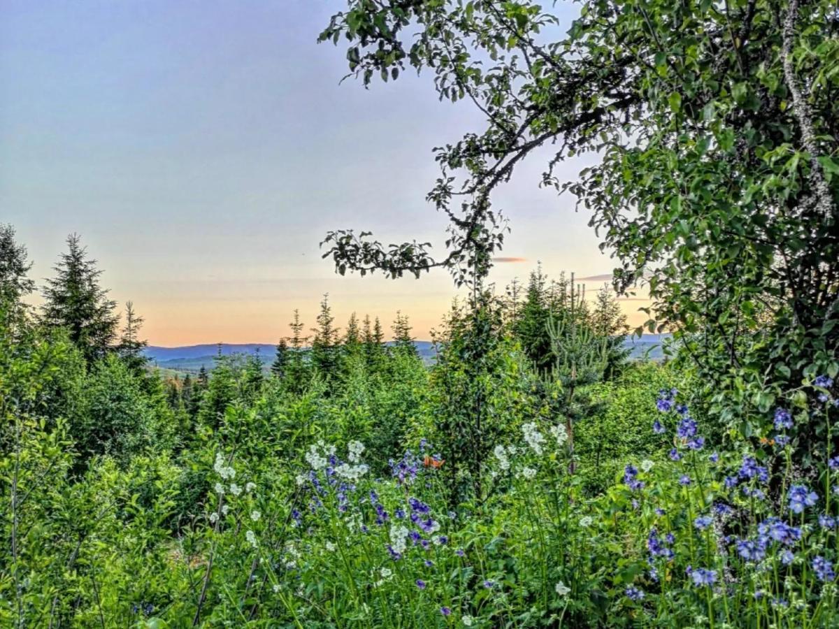 Glamping Tent With Amazing View In The Forest Torsby Exteriér fotografie
