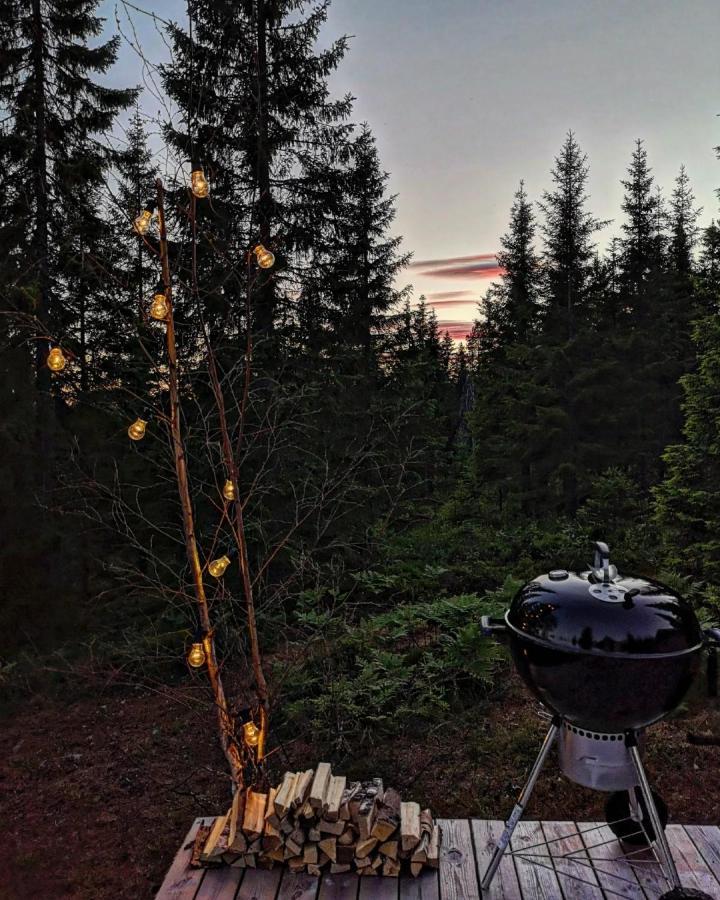 Glamping Tent With Amazing View In The Forest Torsby Exteriér fotografie
