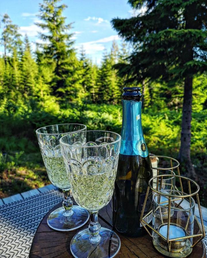 Glamping Tent With Amazing View In The Forest Torsby Exteriér fotografie