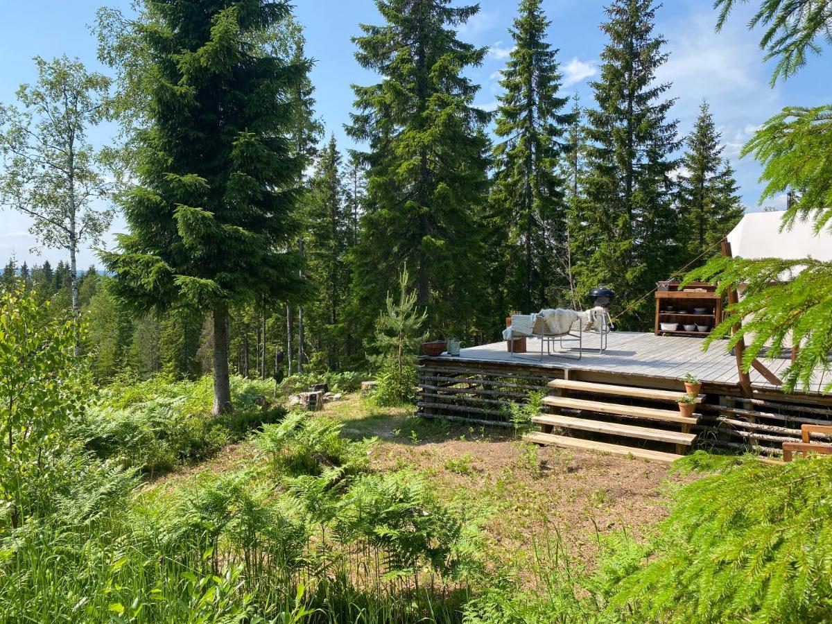 Glamping Tent With Amazing View In The Forest Torsby Exteriér fotografie