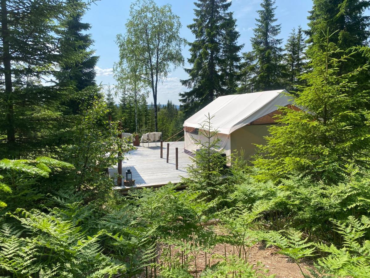 Glamping Tent With Amazing View In The Forest Torsby Exteriér fotografie