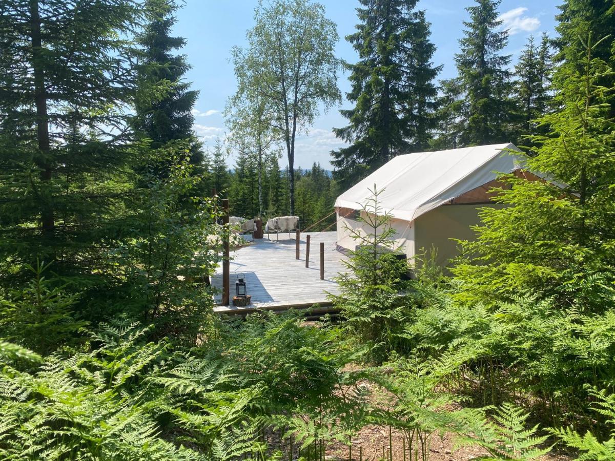 Glamping Tent With Amazing View In The Forest Torsby Exteriér fotografie